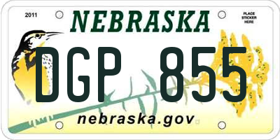 NE license plate DGP855