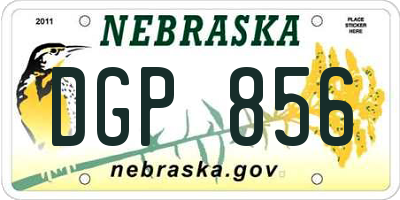 NE license plate DGP856
