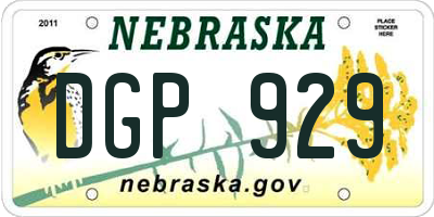 NE license plate DGP929