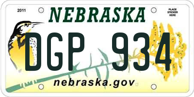 NE license plate DGP934