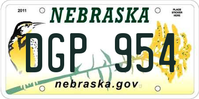 NE license plate DGP954