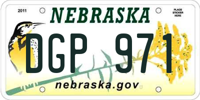 NE license plate DGP971