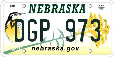 NE license plate DGP973