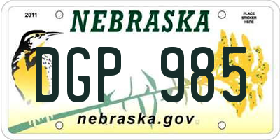 NE license plate DGP985