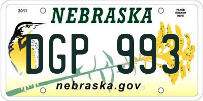 NE license plate DGP993