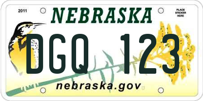 NE license plate DGQ123
