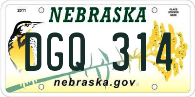 NE license plate DGQ314