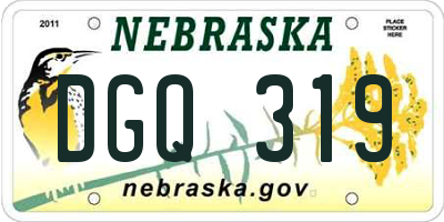 NE license plate DGQ319