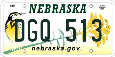 NE license plate DGQ513