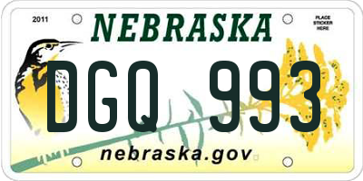 NE license plate DGQ993
