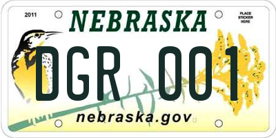 NE license plate DGR001
