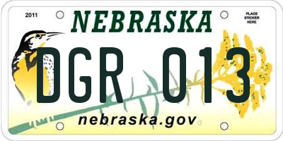 NE license plate DGR013