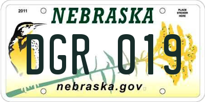 NE license plate DGR019