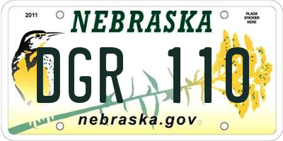 NE license plate DGR110