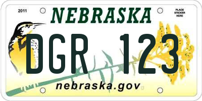NE license plate DGR123
