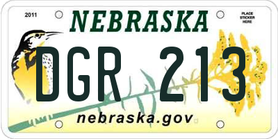 NE license plate DGR213