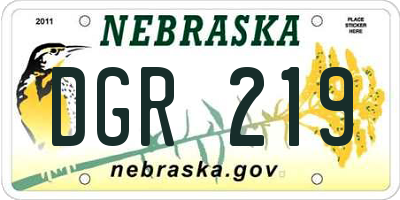 NE license plate DGR219