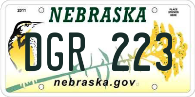 NE license plate DGR223