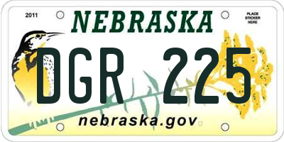 NE license plate DGR225