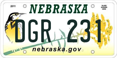 NE license plate DGR231