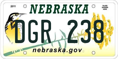 NE license plate DGR238