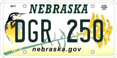 NE license plate DGR250