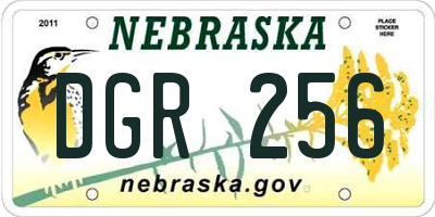 NE license plate DGR256