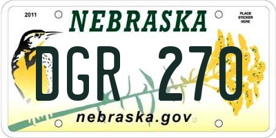 NE license plate DGR270