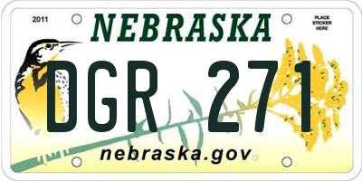 NE license plate DGR271