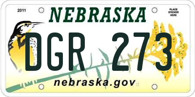 NE license plate DGR273