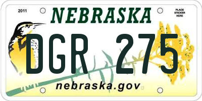 NE license plate DGR275