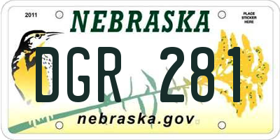 NE license plate DGR281
