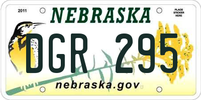 NE license plate DGR295