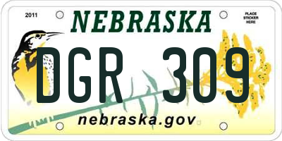 NE license plate DGR309