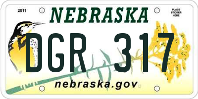 NE license plate DGR317