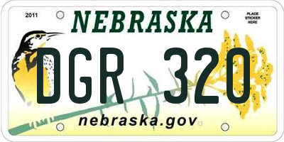 NE license plate DGR320