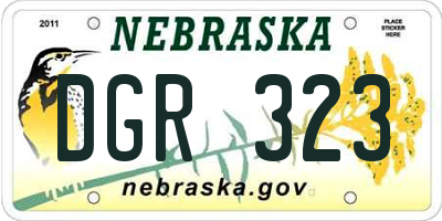 NE license plate DGR323
