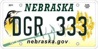 NE license plate DGR333