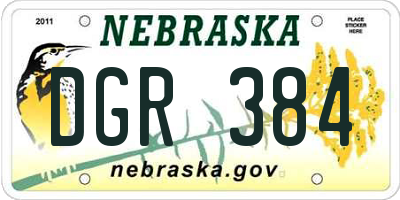 NE license plate DGR384