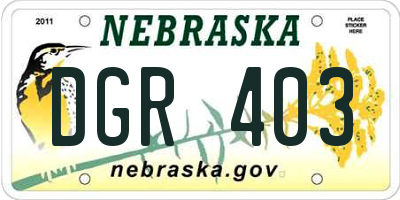 NE license plate DGR403