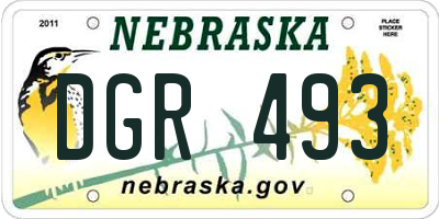 NE license plate DGR493