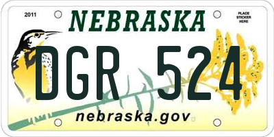 NE license plate DGR524