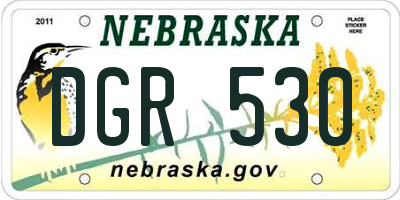 NE license plate DGR530