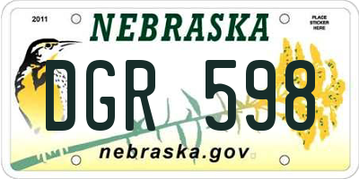 NE license plate DGR598