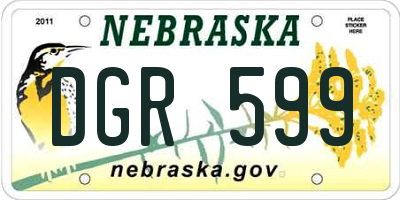 NE license plate DGR599
