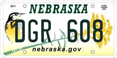NE license plate DGR608