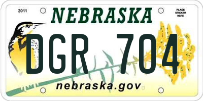 NE license plate DGR704