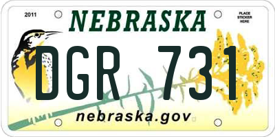 NE license plate DGR731