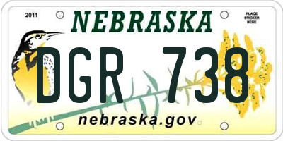 NE license plate DGR738