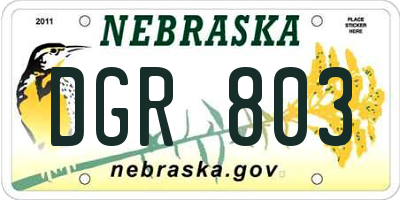 NE license plate DGR803